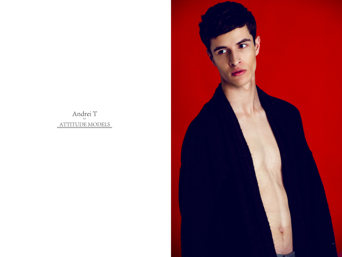 Andrei for Attitude Models